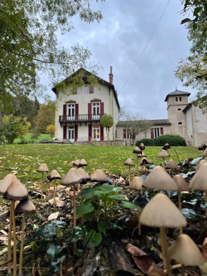 Domaine La Rose Bed & Breakfast Caylus Dış mekan fotoğraf