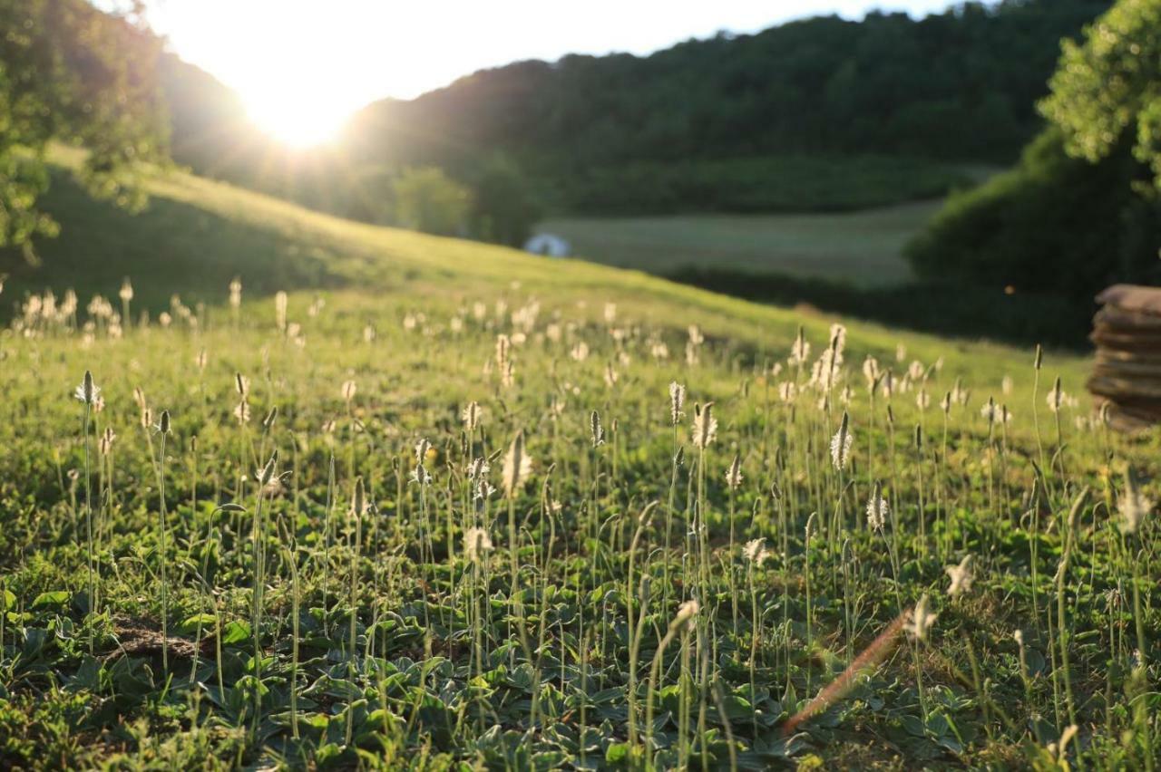 Domaine La Rose Bed & Breakfast Caylus Dış mekan fotoğraf